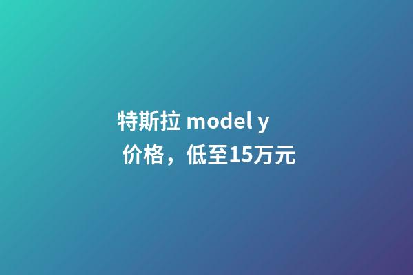 特斯拉 model y 价格，低至15万元-第1张-观点-玄机派